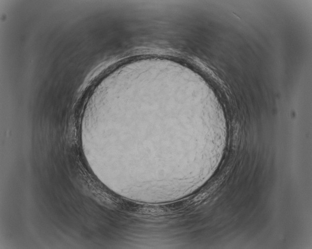 X0000084021215200703161731