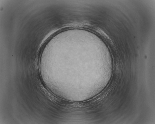 X0000084021216200703161731