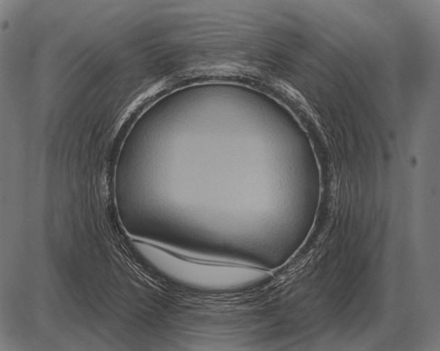 X0000084021218200703161731