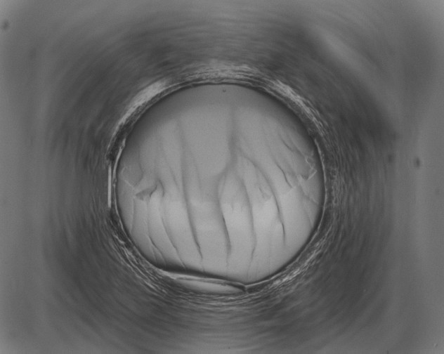 X0000084021219200703161731