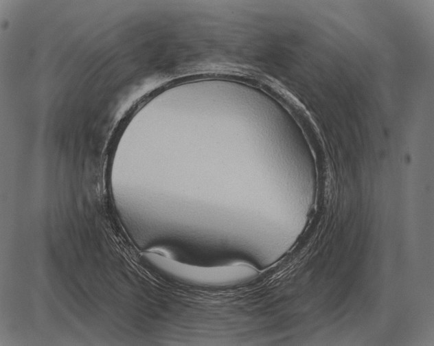 X0000084021222200703161731