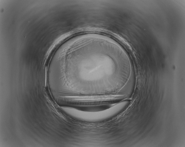 X0000084021223200703161731