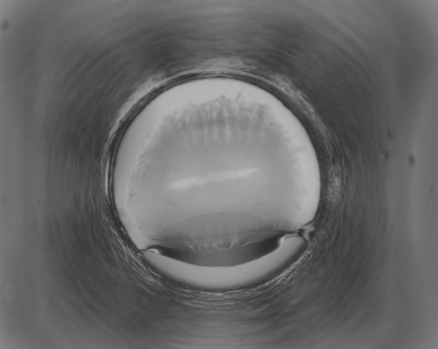 X0000084021224200703161731