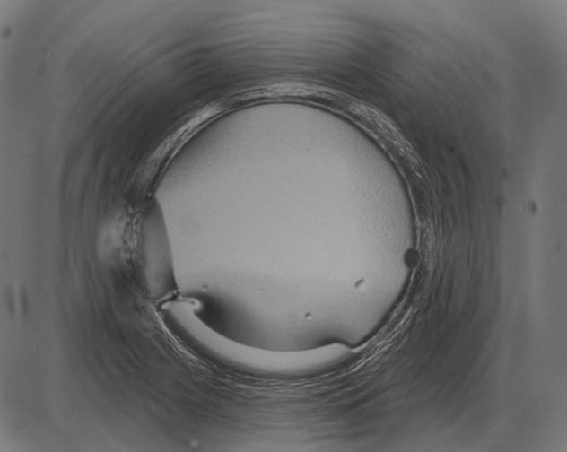 X0000084021225200703161731