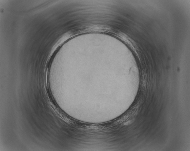 X0000084021227200703161731