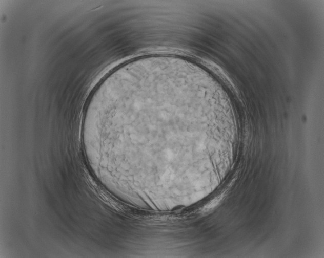 X0000084021228200703161731