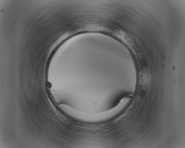 X0000084021229200703161731