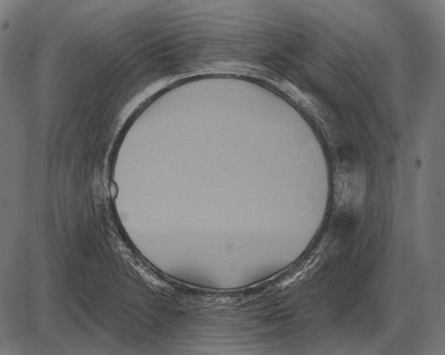 X0000084021230200703161731