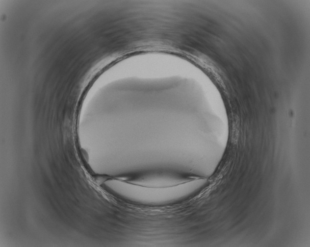 X0000084021231200703161731