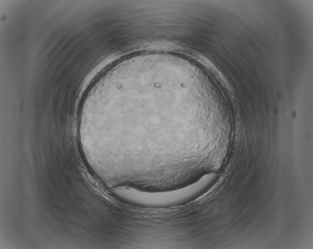 X0000084021232200703161731