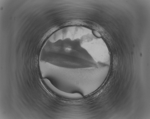 X0000084021233200703161731