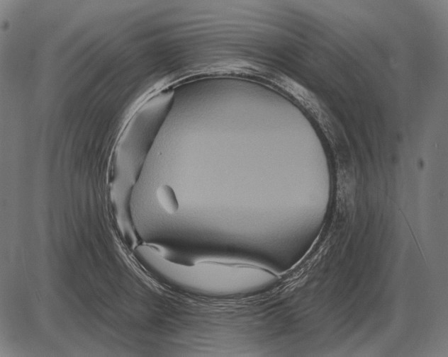 X0000084021234200703161731