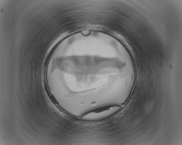 X0000084021235200703161731