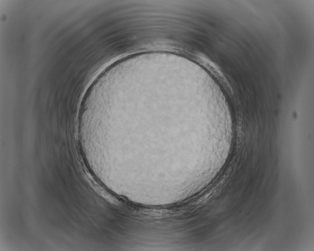 X0000084021236200703161731