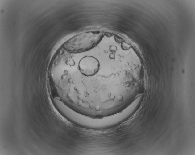 X0000084021239200703161731