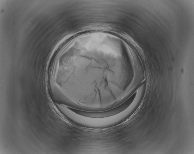 X0000084021240200703161731