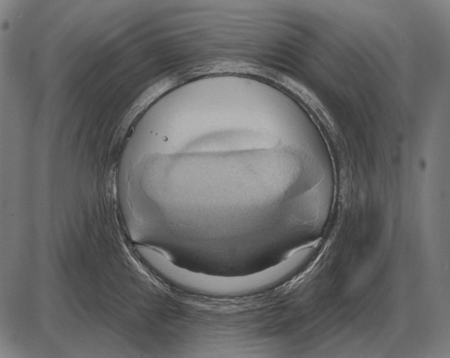 X0000084021241200703161731