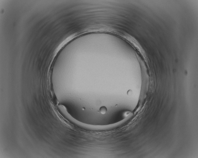 X0000084021242200703161731