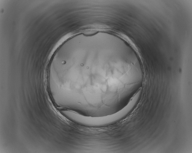 X0000084021243200703161731