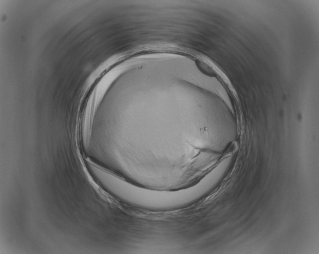 X0000084021245200703161731