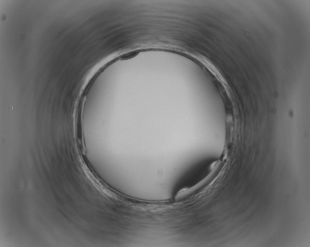 X0000084021246200703161731