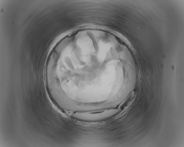 X0000084021247200703161731