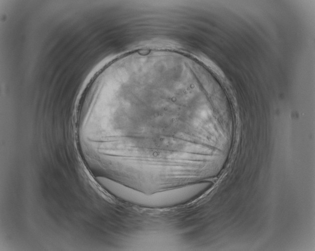 X0000084021248200703161731