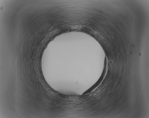 X0000084021249200703161730