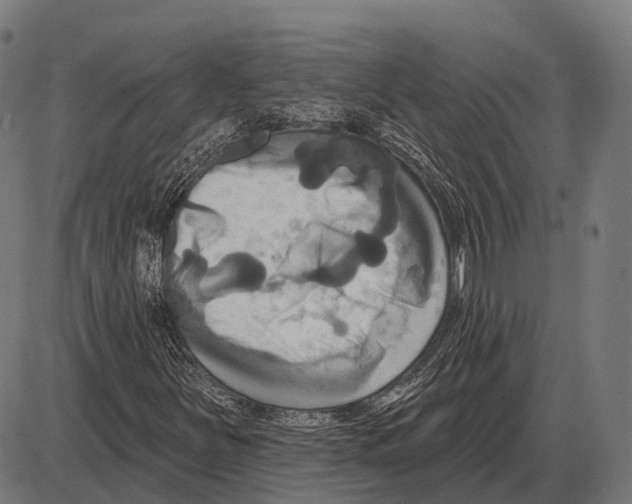 X0000084021251200703161730