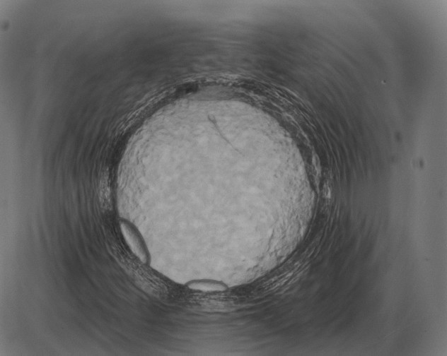 X0000084021252200703161730