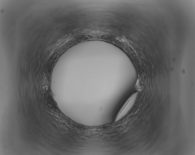 X0000084021253200703161730