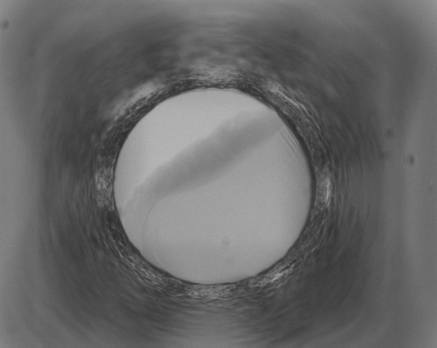 X0000084021254200703161730