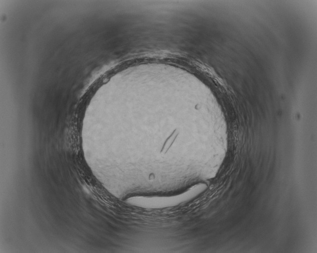 X0000084021256200703161730