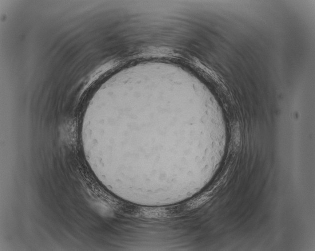 X0000084021258200703161730