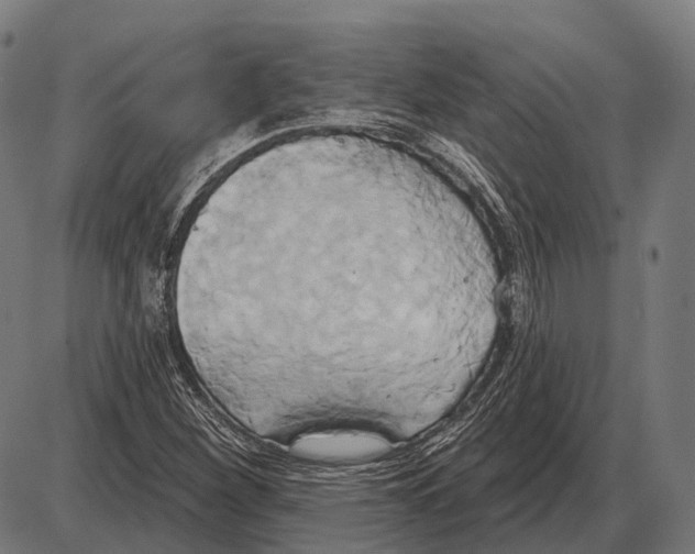 X0000084021260200703161730