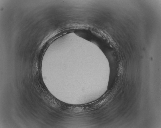 X0000084021261200703161730