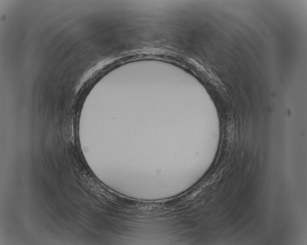 X0000084021262200703161730