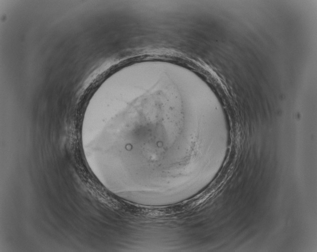 X0000084021263200703161730