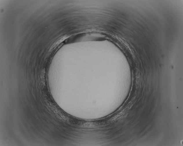 X0000084021265200703161730