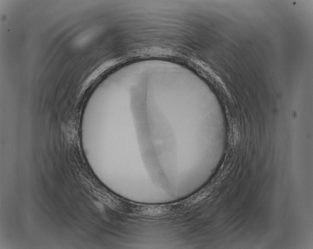 X0000084021266200703161730