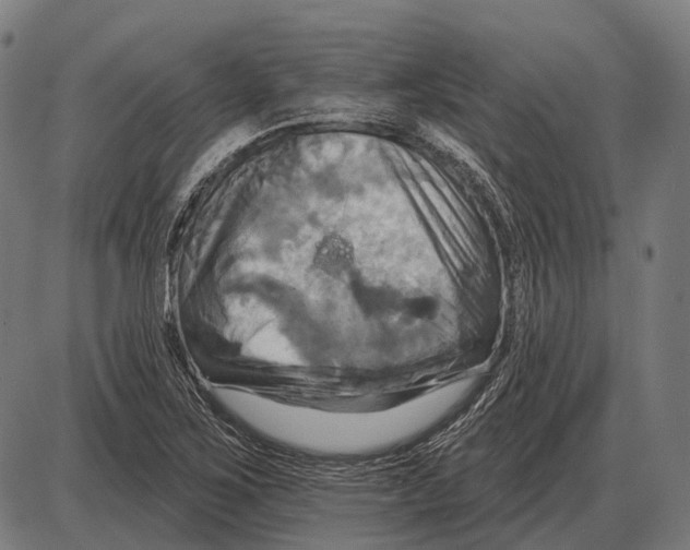 X0000084021267200703161730