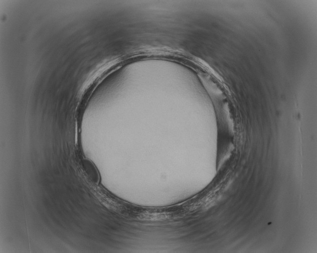 X0000084021269200703161730