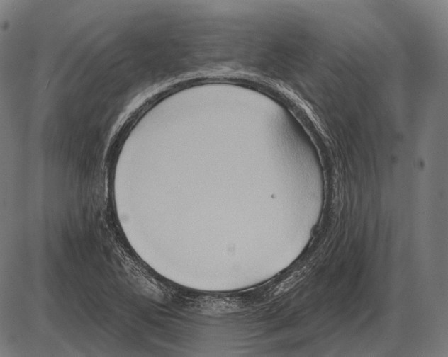 X0000084021270200703161730