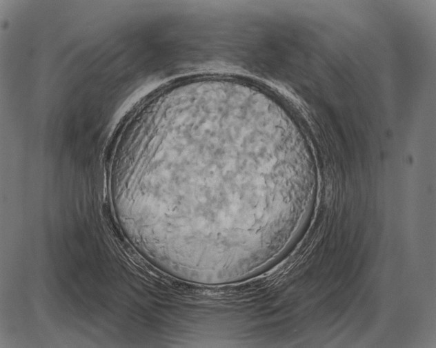 X0000084021271200703161730