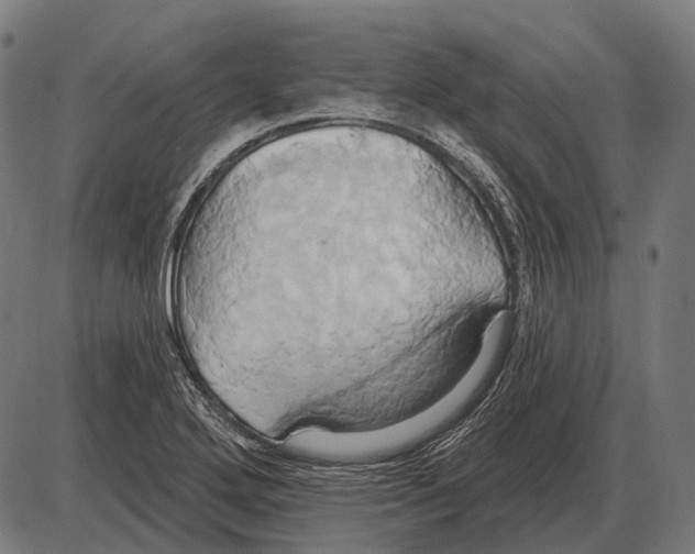 X0000084021272200703161730