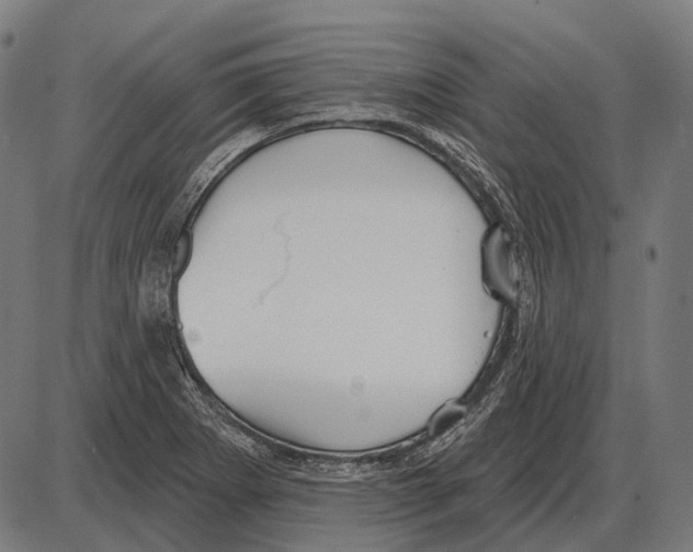 X0000084021273200703161730