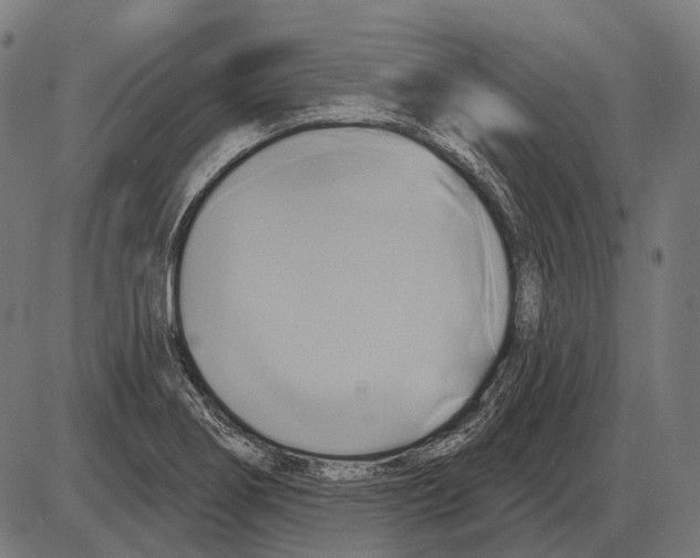 X0000084021274200703161730