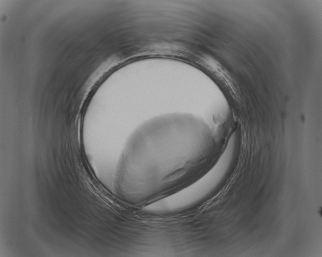 X0000084021275200703161730