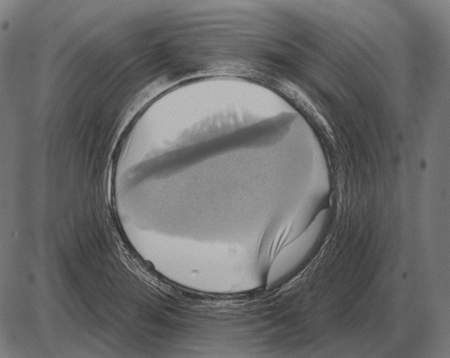 X0000084021276200703161730