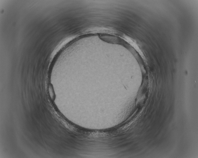 X0000084021277200703161730